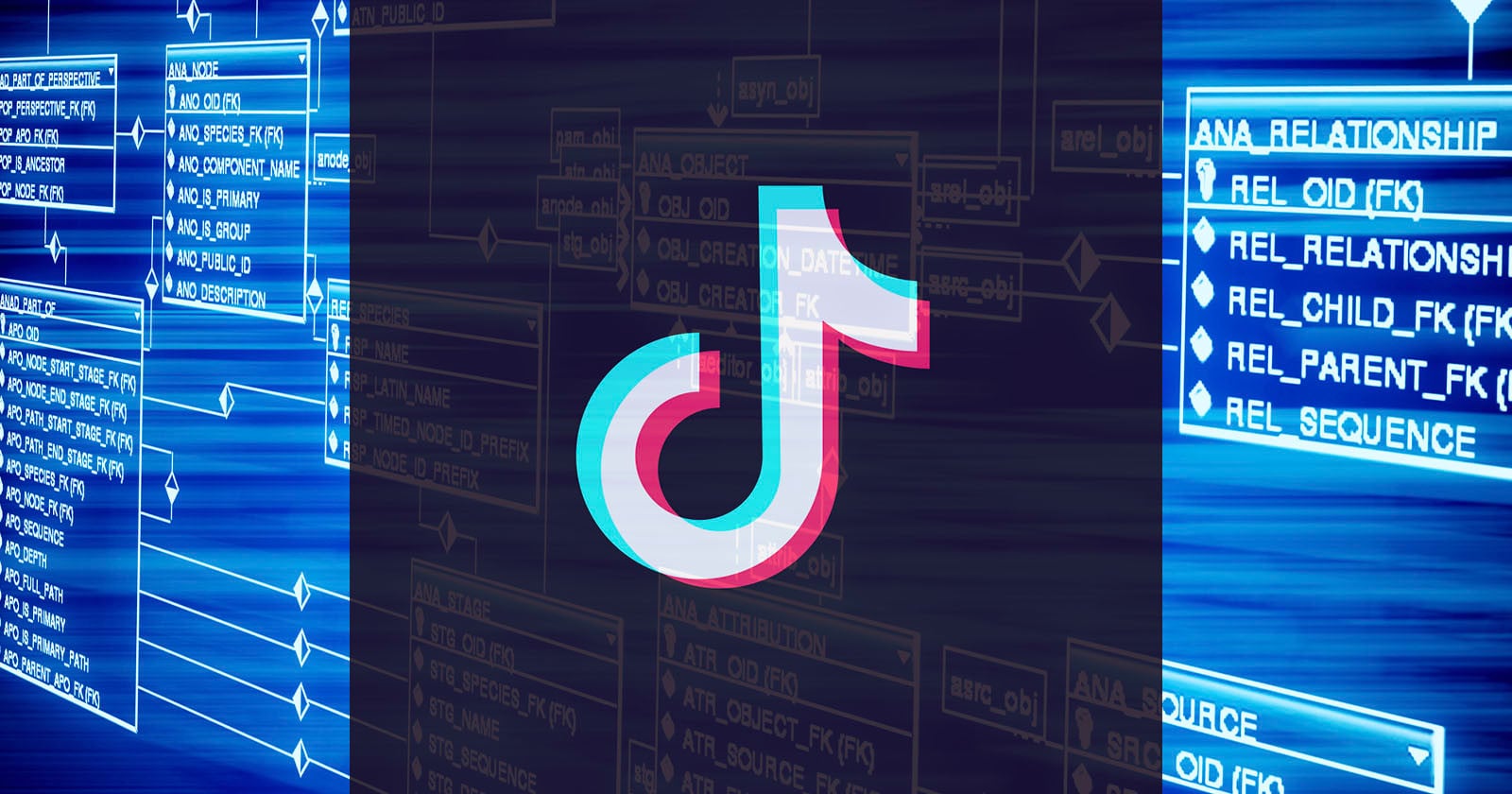 TikTok Admits Its Own Employees Can Decide What Videos Go Viral