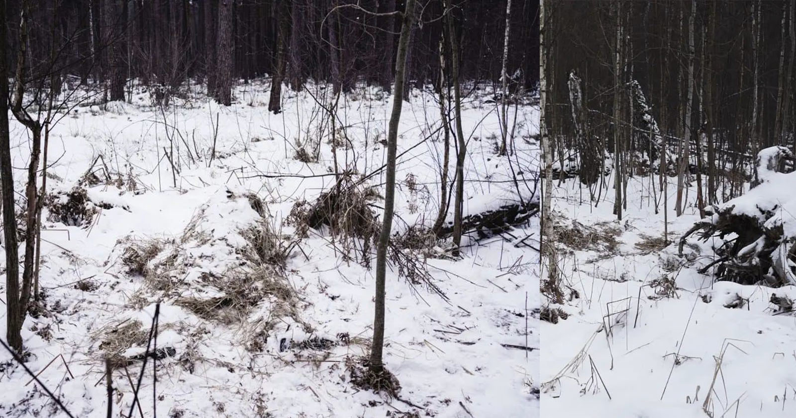Can You Spot the Sniper Hiding in These Photos?
