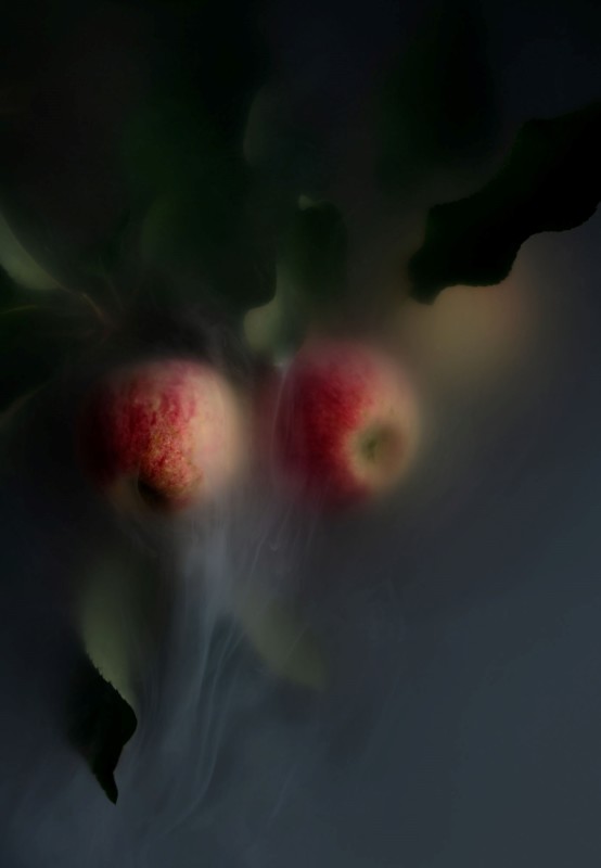 Apples in mist with dark colored background