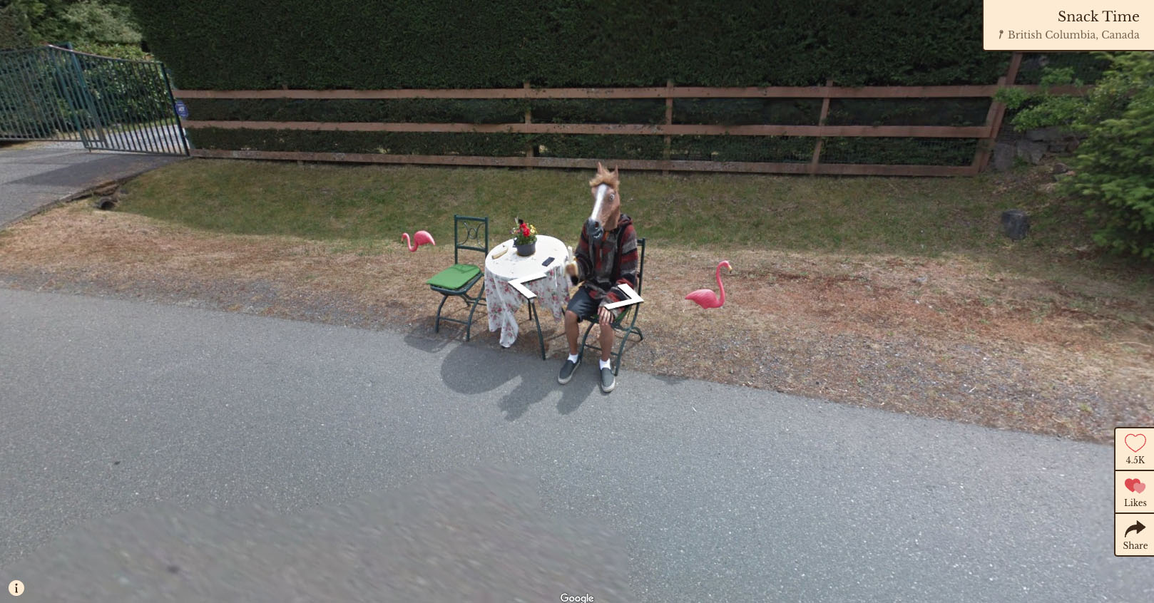 'Wonders Of Street View' Highlights The Most Bizarre Scenes On Google ...