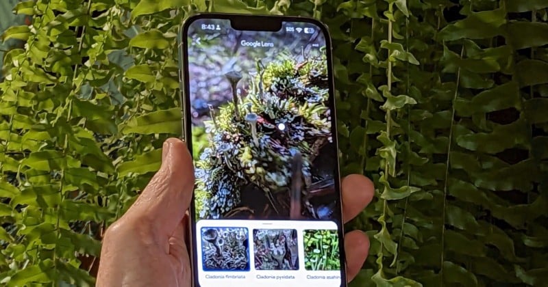 How to Reverse Image Search from Your iPhone