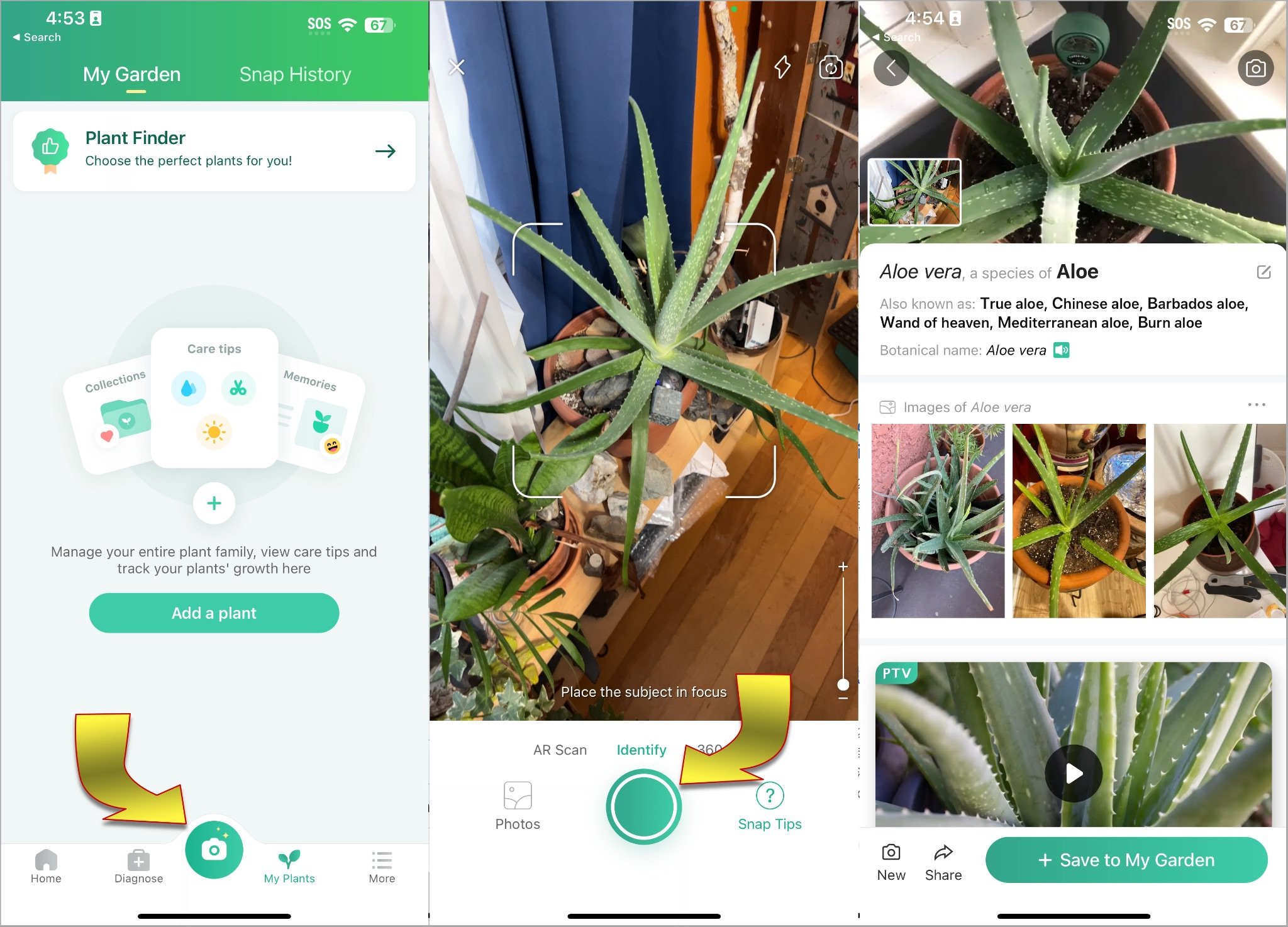 PictureThis: The Best Plant Identifier Camera App | PetaPixel