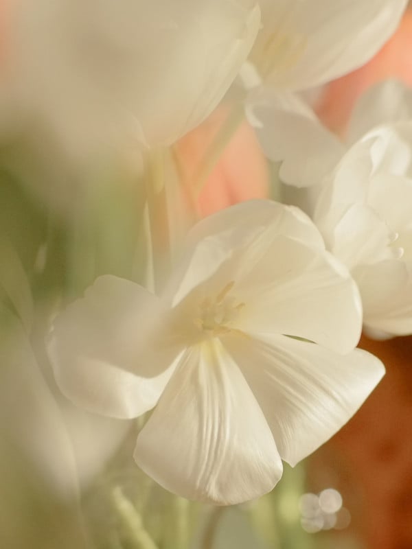 The 7artisans 79mm Split Diopter Adds Blur Effects to Your Photos ...