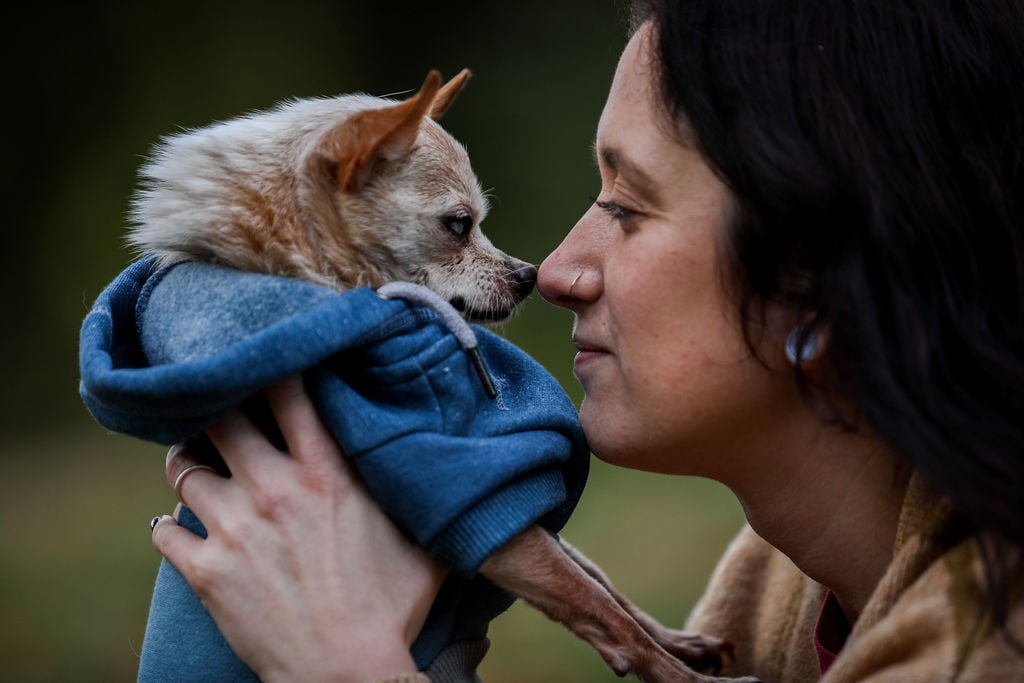 Moving Photos Capture People's Final Moments with Their Pets | PetaPixel