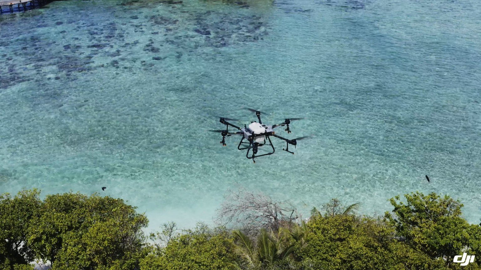 Scientists are Fighting a Destructive Bug with Targeted Pesticide Drone ...