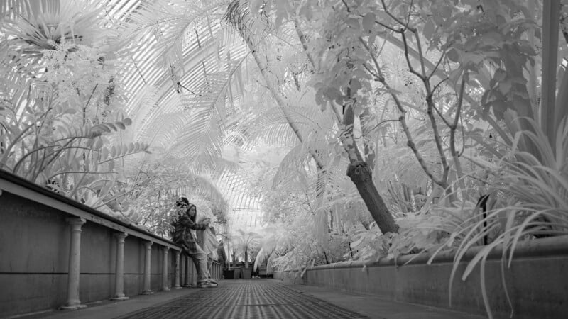 Mathieu Stern infrared camera