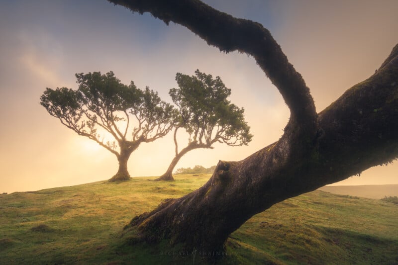 michael shainblum photo