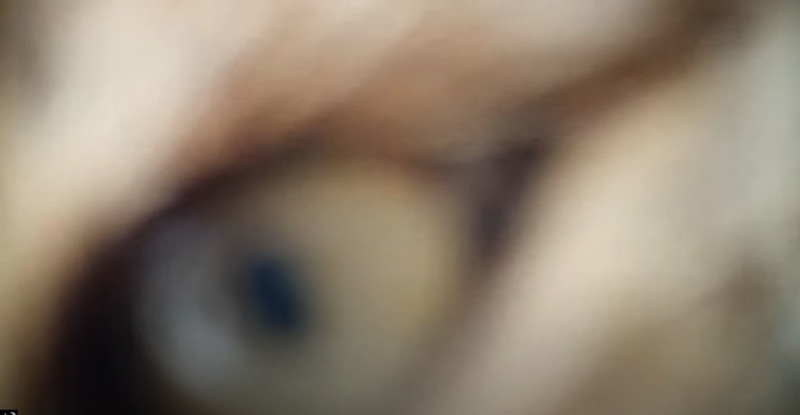 lynx closeup