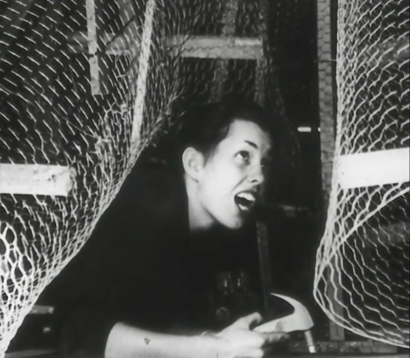Watch a 1949 Video About the Timeless Topic of Photo Composition ...