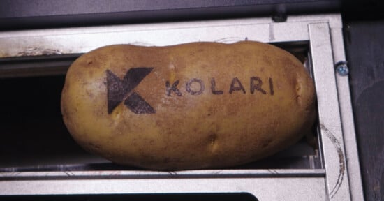 Kolari Vision potato camera