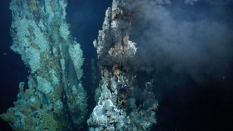 Scientists Discover Three New Hydrothermal Vent Fields on Mid-Atlantic Ridge