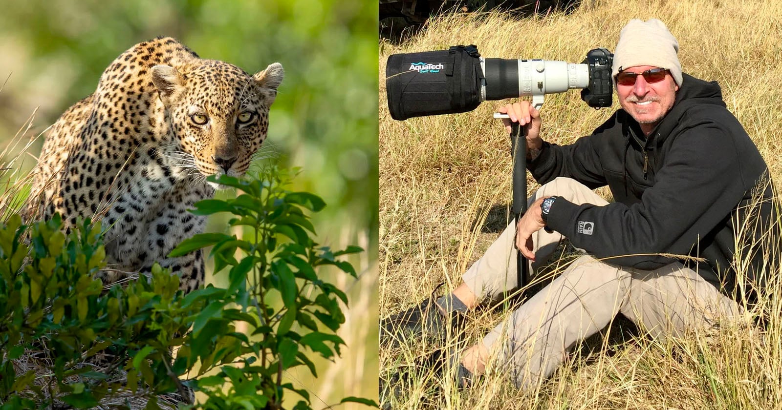 Smashing asians randy johnson