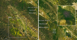 Satellite image shows the superblooms in California.