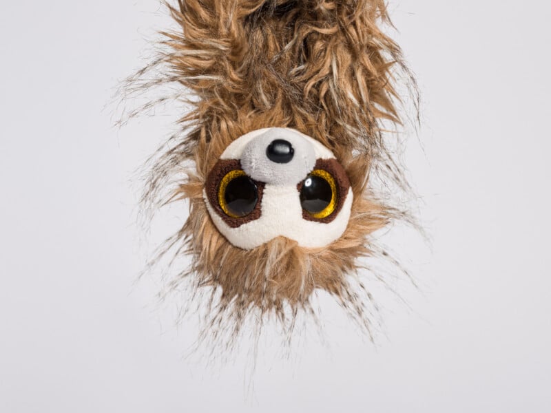 sloth stuffed animal hanging from top of image frame against plain white background 