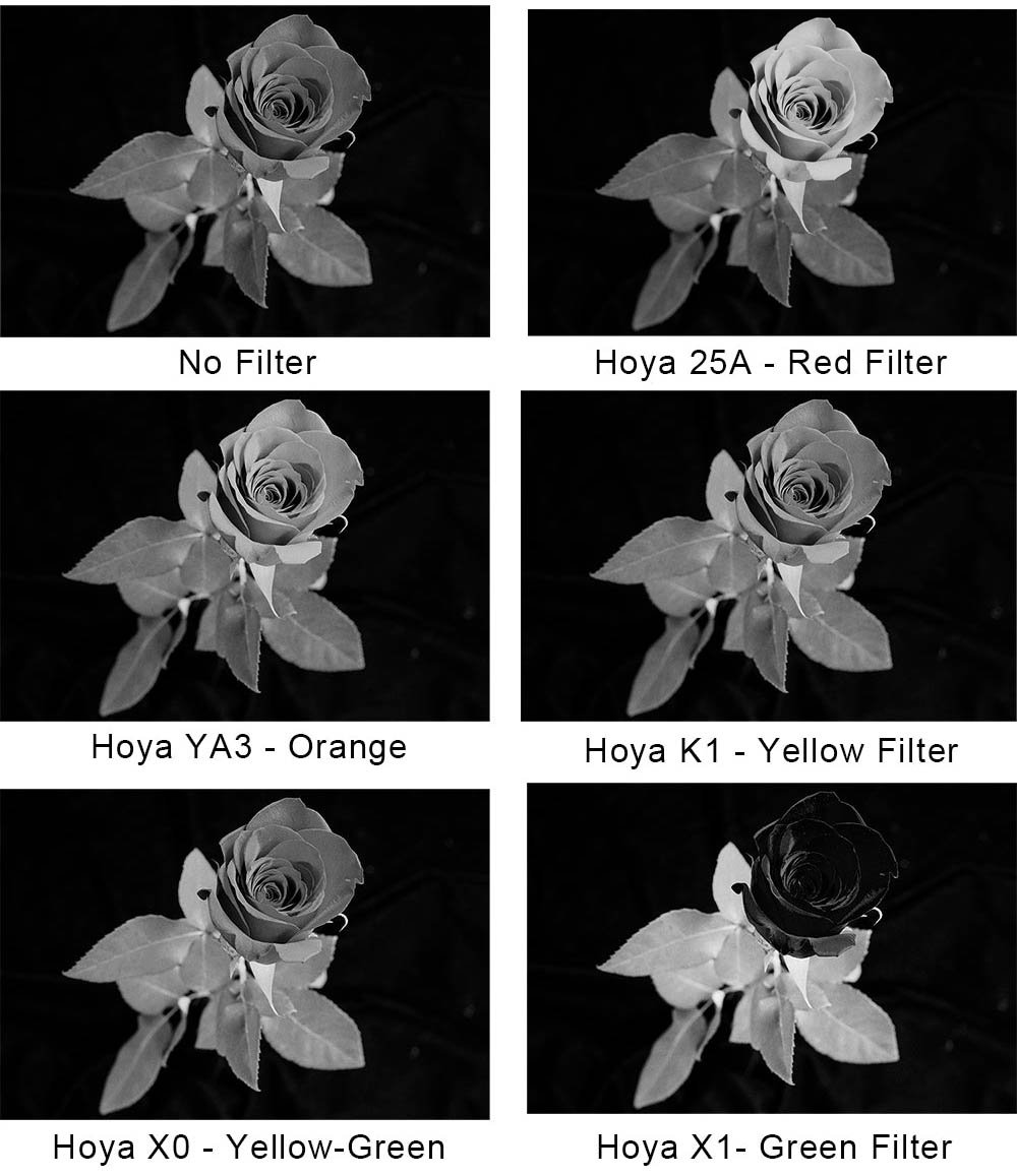 color-filters-for-black-and-white-photography-a-complete-guide-petapixel