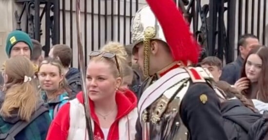 King's Guard screams at tourist