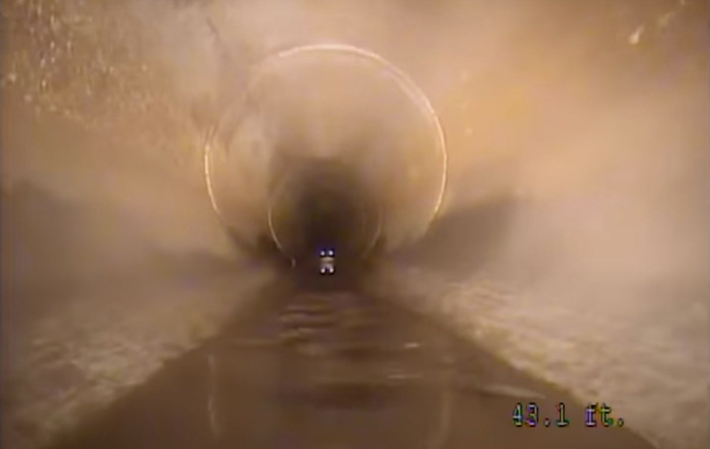 Robotic Camera Encounters 5-Foot Alligator Inside a Storm Drain | PetaPixel