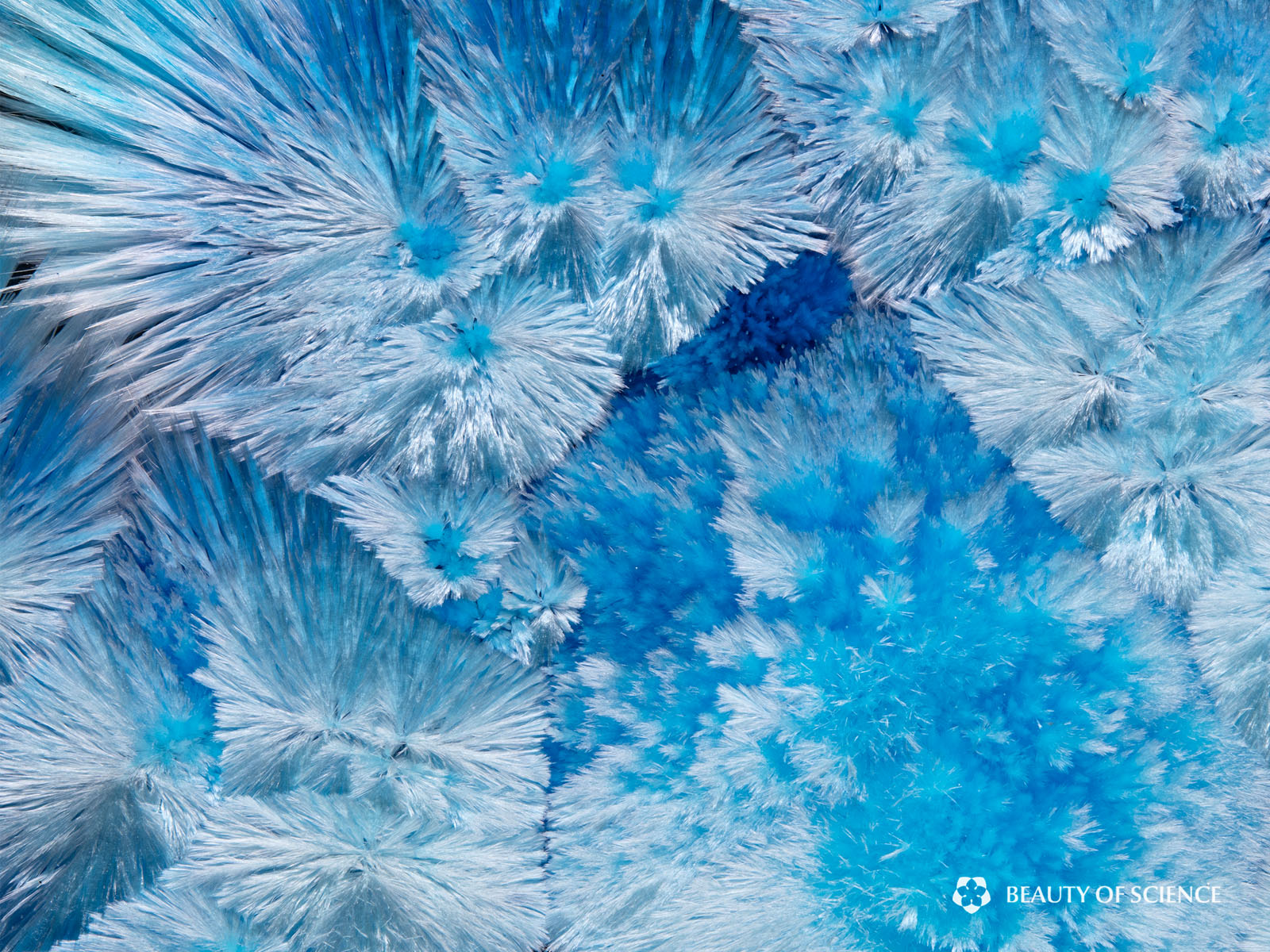'Midnight Radiance' Combines Art and Science With Colorful Crystals ...