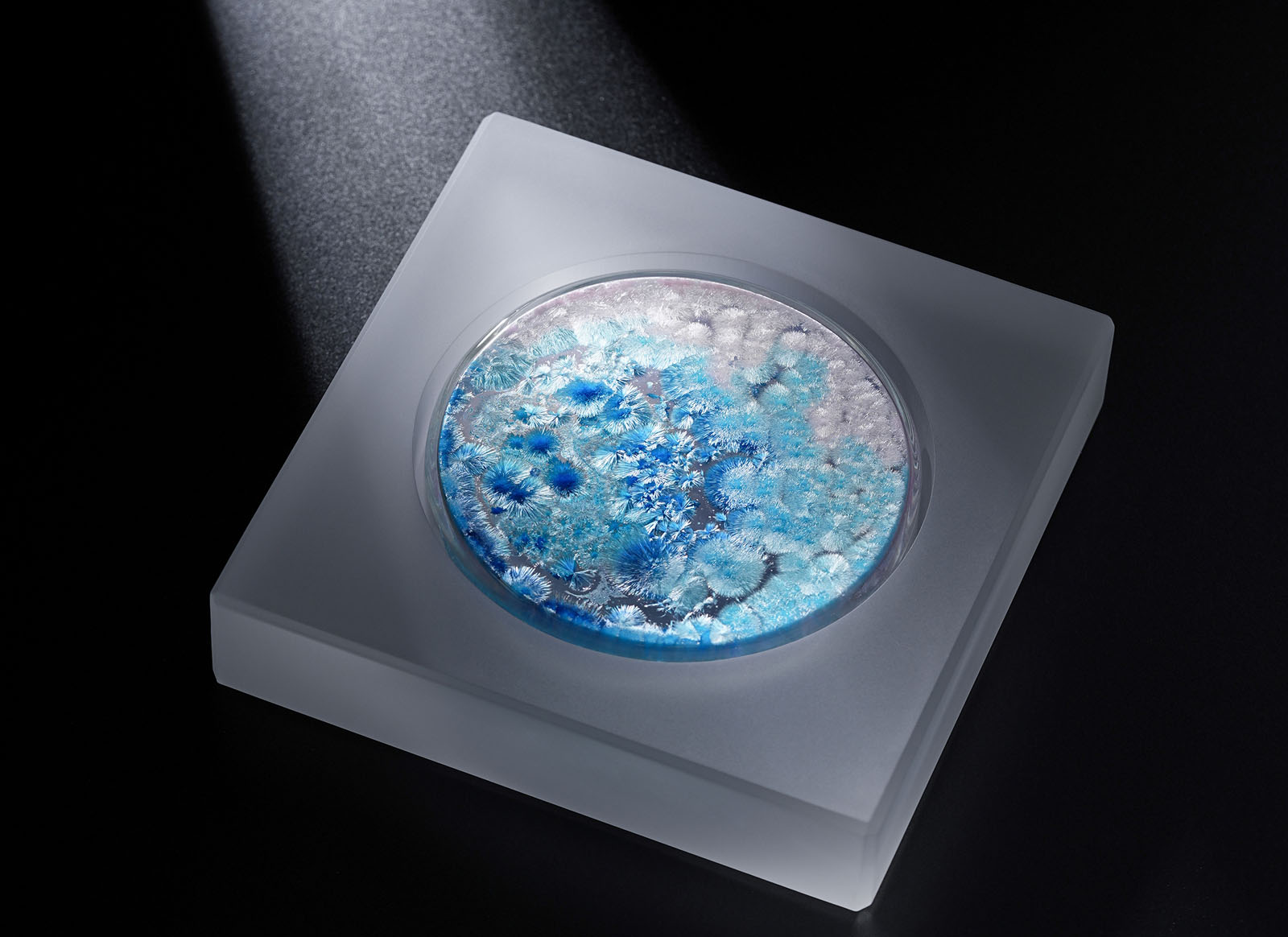 'Midnight Radiance' Combines Art and Science With Colorful Crystals ...