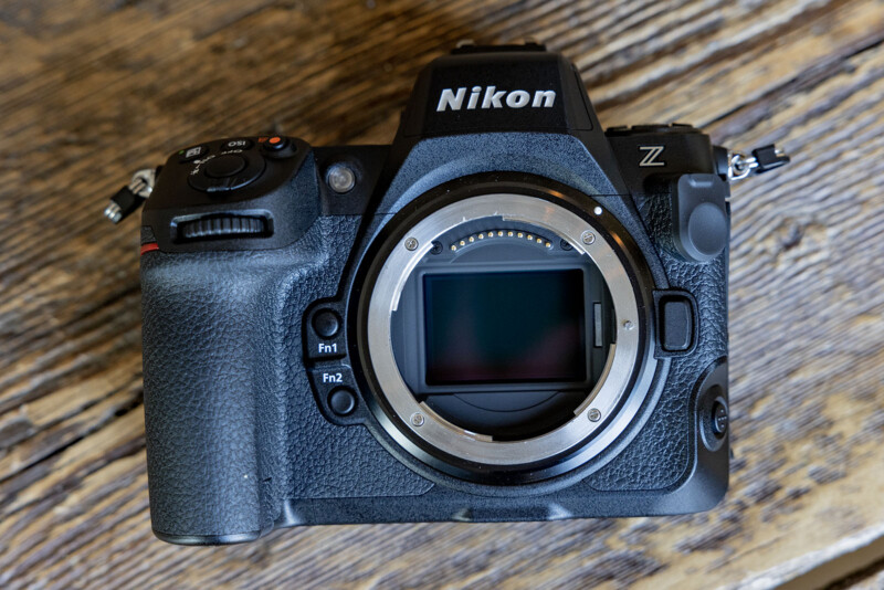 Nikon Z8 Field Report - Squiver