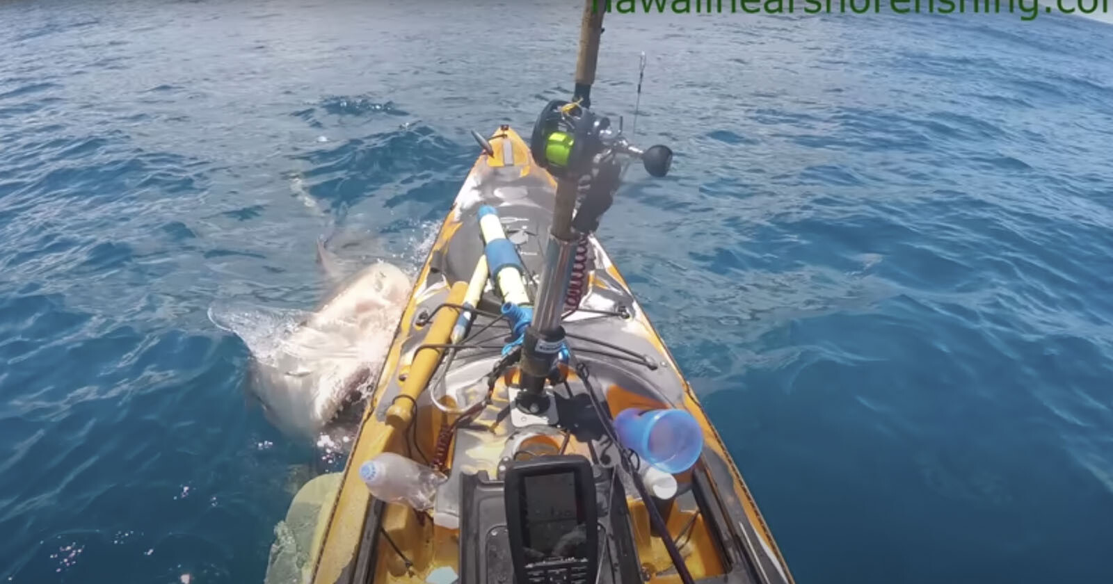 Fisherman's GoPro Captures the Moment a Shark Attacks His Kayak