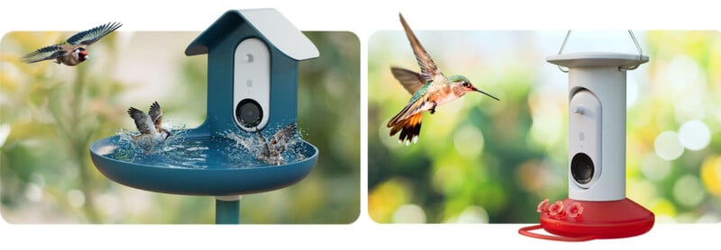 Bird Buddy shows off a smart hummingbird feeder at CES 2023