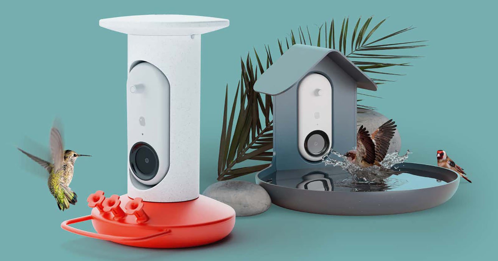Smart Bird Feeder With Camera Automatic Catch Bird Video And