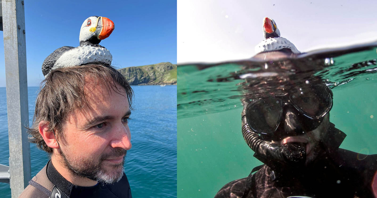 Photographer Uses Puffin Disguise to Blend In with Unsuspecting Birds