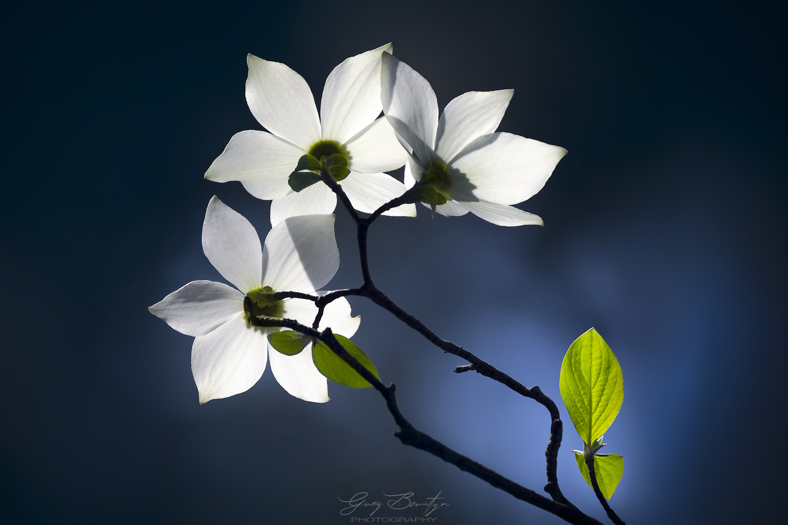 Color and Composition Explained by a Pro Landscape Photographer | PetaPixel
