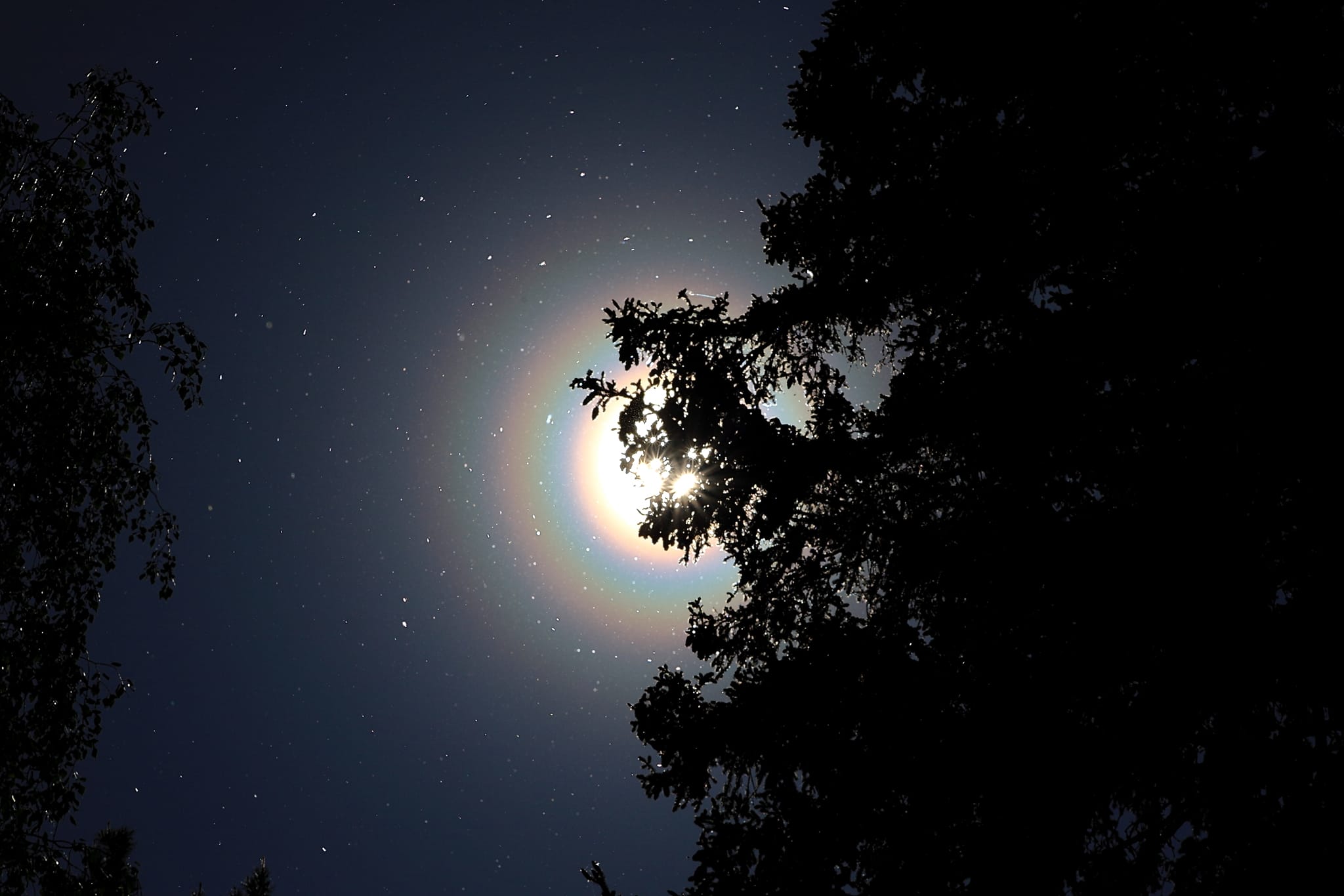 Intense Pollen Swarms Creates Rainbow Rings Around the Sun | PetaPixel