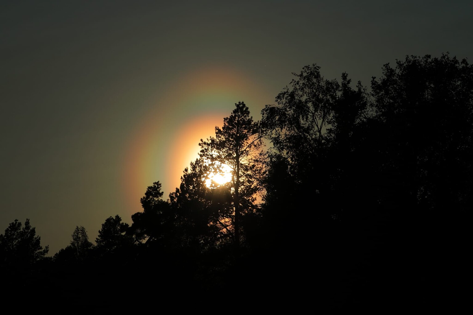 Intense Pollen Swarms Creates Rainbow Rings Around the Sun | PetaPixel