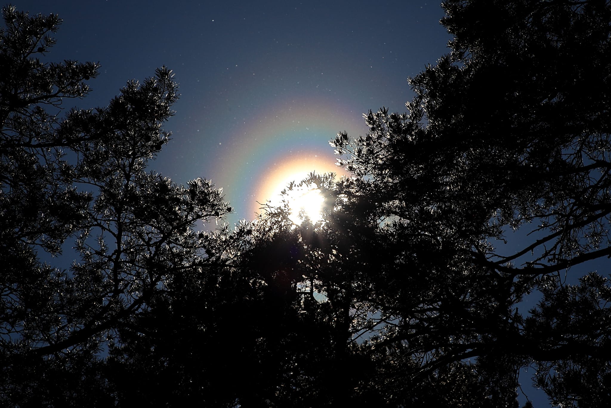 Intense Pollen Swarms Creates Rainbow Rings Around the Sun | PetaPixel