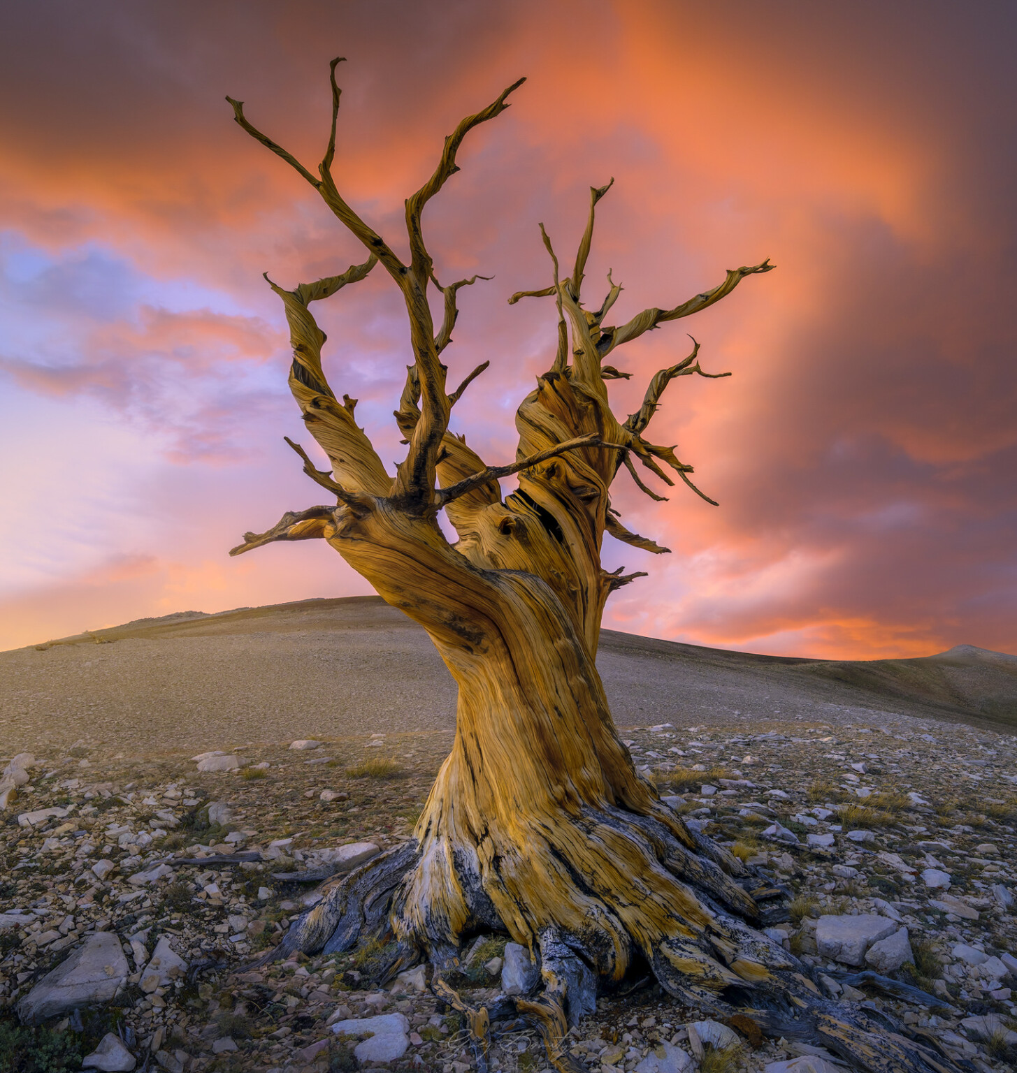 Color and Composition Explained by a Pro Landscape Photographer | PetaPixel