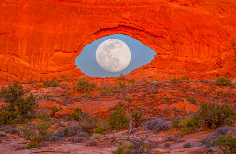 Oeil de pleine lune
