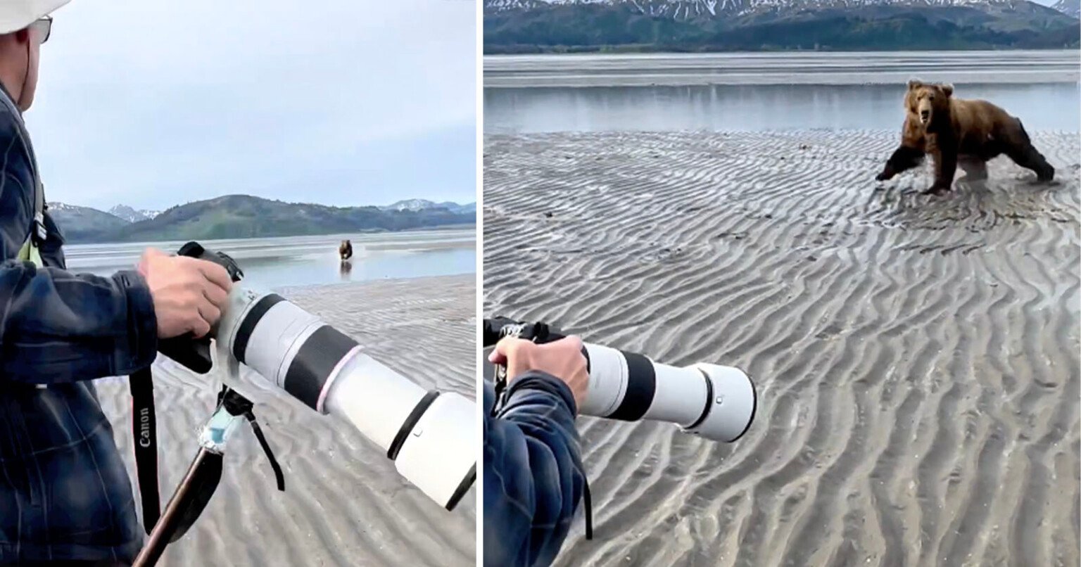 Photographers Stand Their Ground as Bear Charges Them | PetaPixel