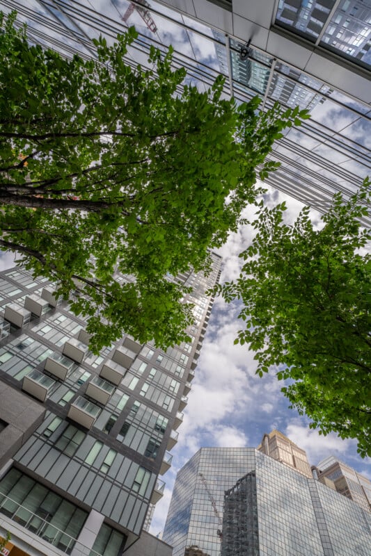 Sigma ART 14mm Buildings