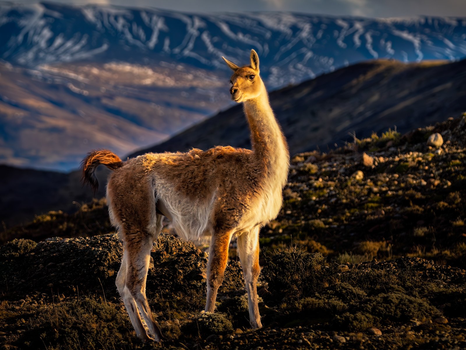 Photographer Captures Gorgeous Photos of Fall Colors in Patagonia ...