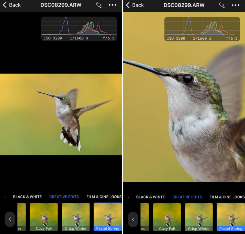 Capture One mobile for iPhone Review