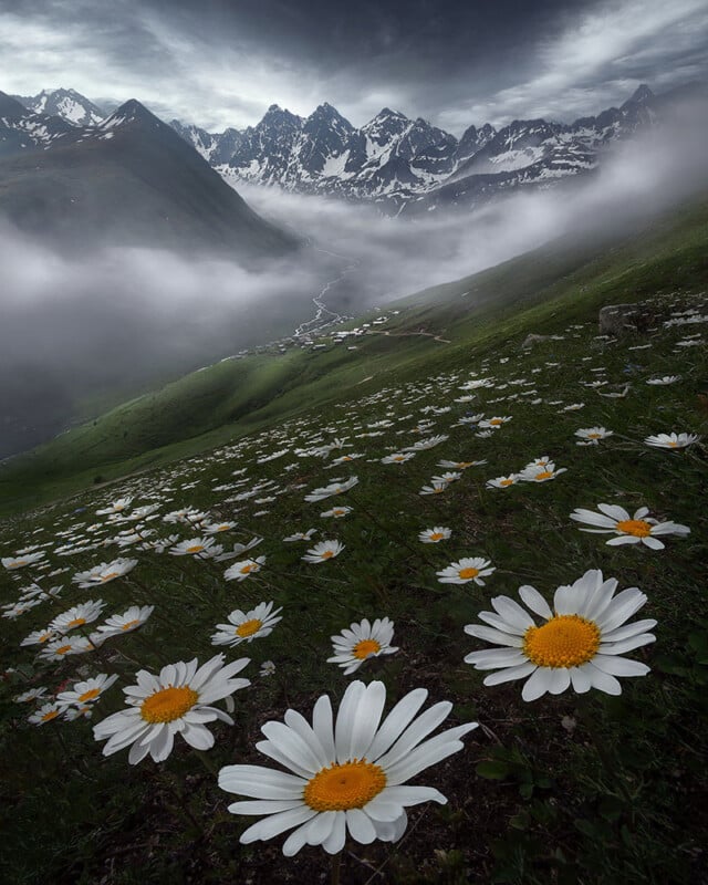 Kackar mountains.