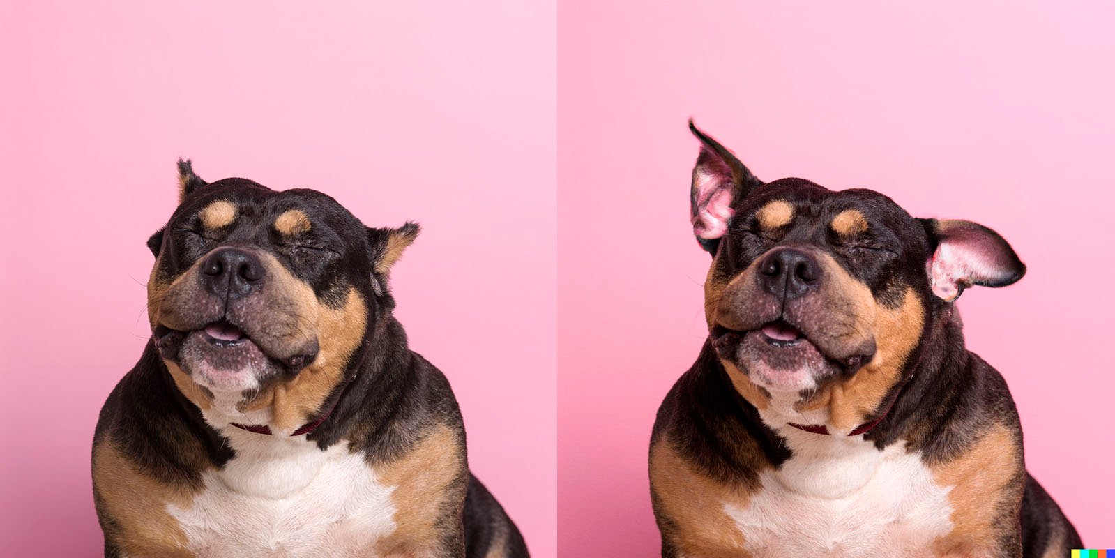 Photographer Gives Rescue Dogs Their Ears Back With the Help of AI ...