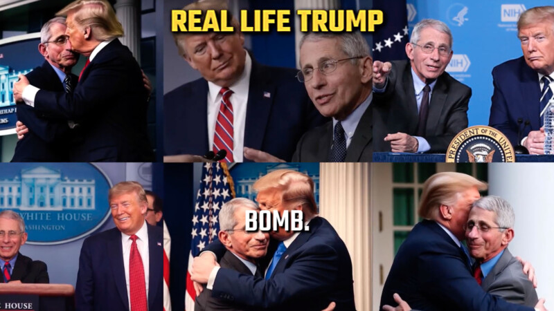 Trump and Fauci