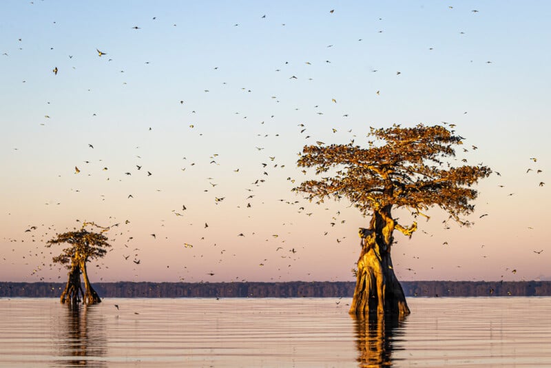 National Audubon Society Photography Awards 2023