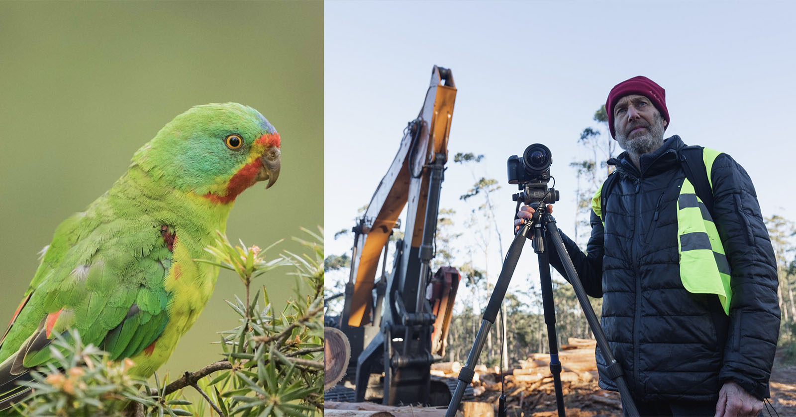 Photographer is Arrested Protesting the Destruction of Rare Bird's Habitat