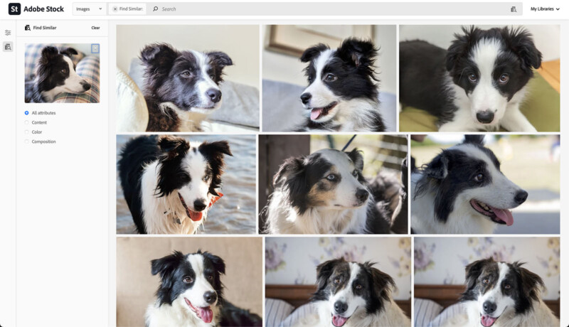 Vecteezy AI Reverse Image Search