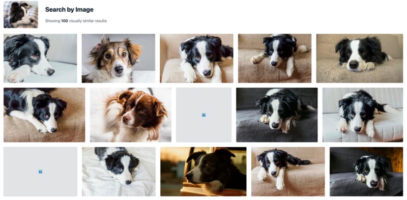 Vecteezy AI Reverse Image Search