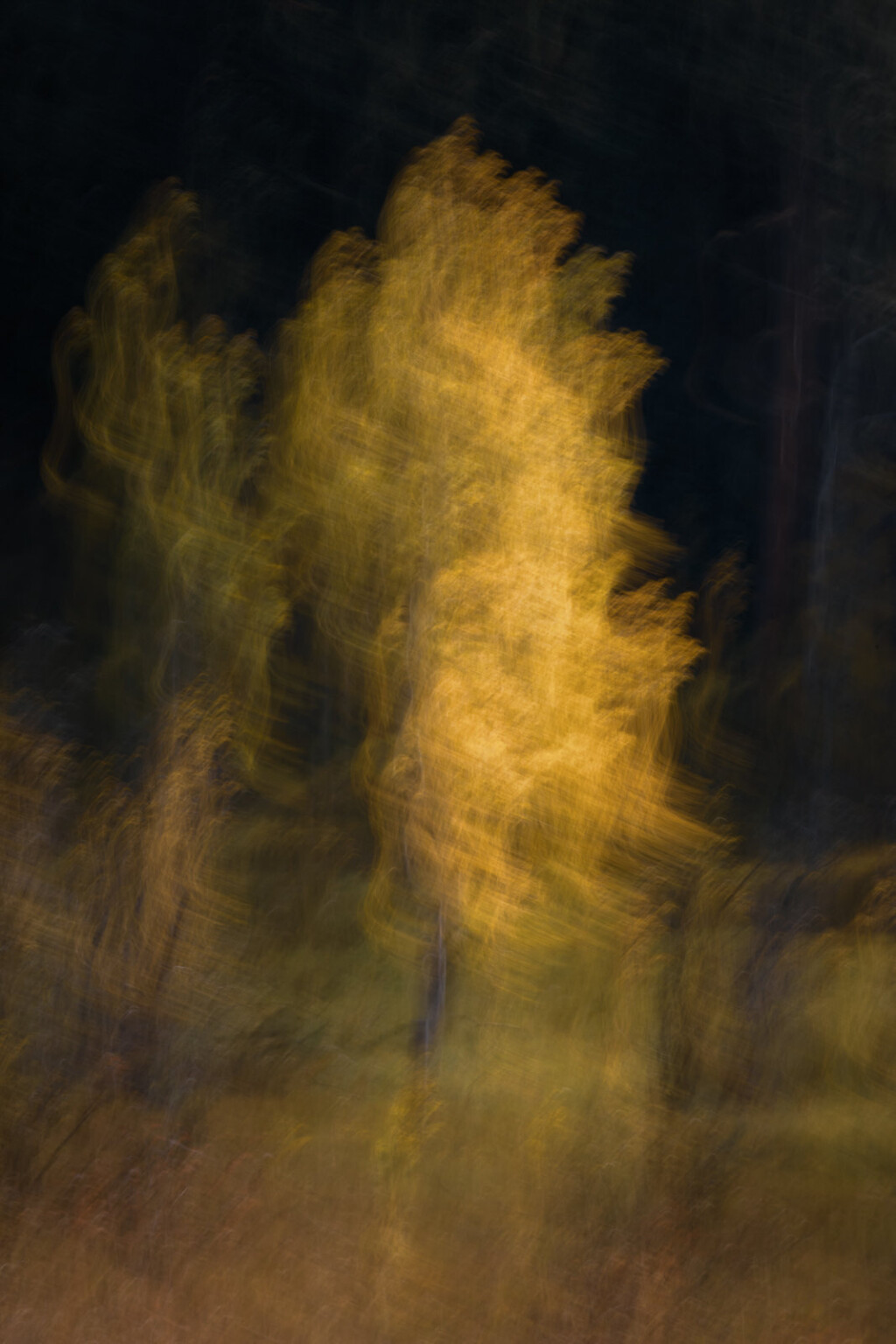 Abstract State of Mind: Seeing Beyond the Literal in Landscape Photos ...
