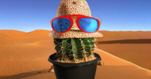 CM3Leon example. A cactus wearing a hat and sunglasses.