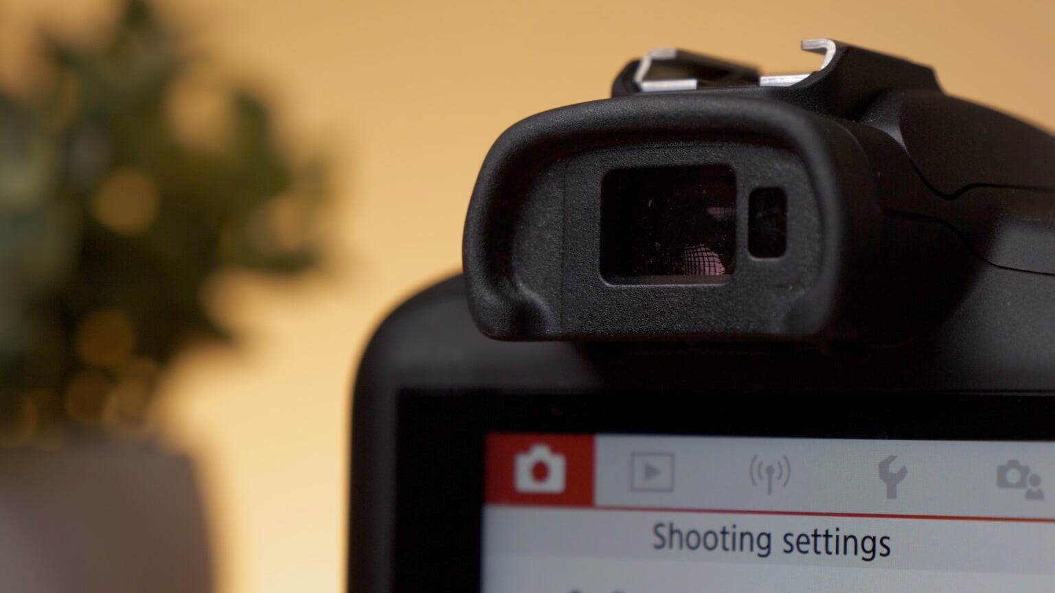 Canon EOS R100 Review: It Feels Like an Old Camera, and Not in a Good ...