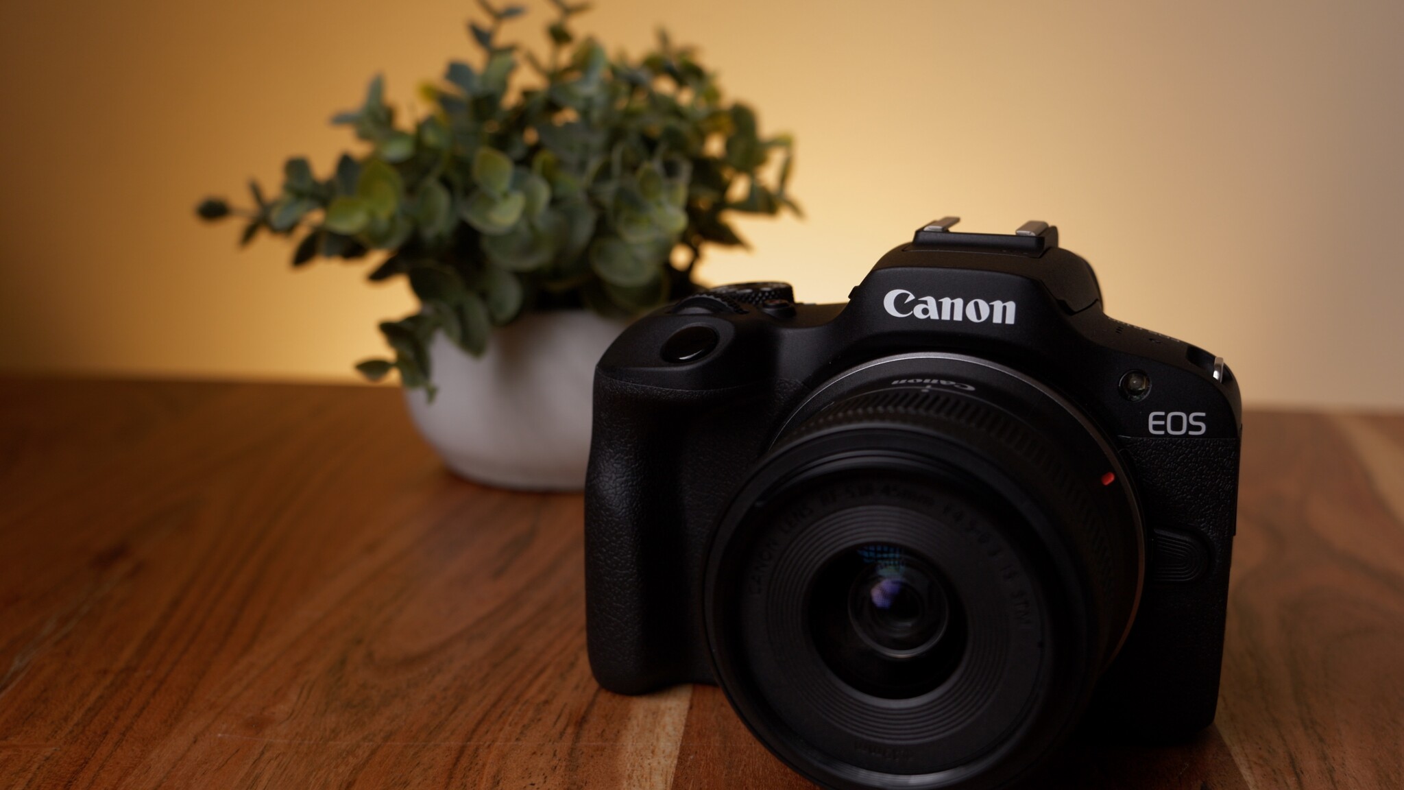 Canon EOS R100 Review It Feels Like an Old Camera, and Not in a Good