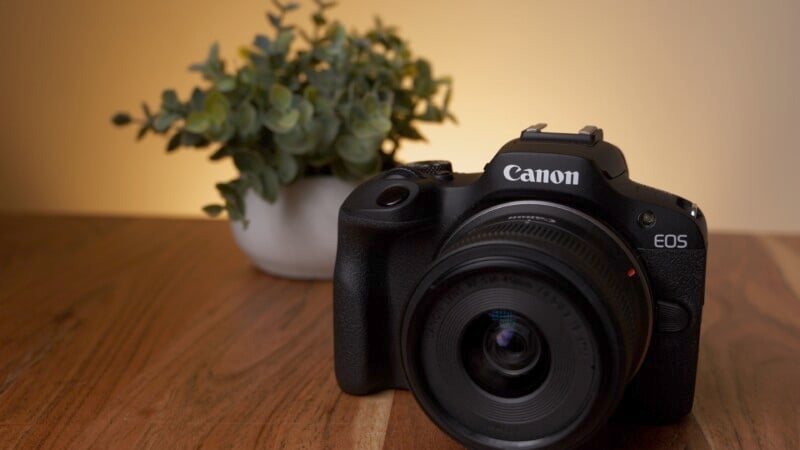 Canon EOS R100 review: the beginner camera to beat all others